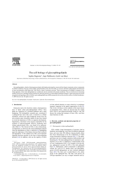 The cell biology of glycosphingolipids
