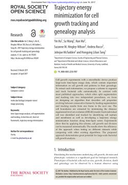 Trajectory energy minimization for cell growth tracking and