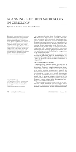 Scanning Electron Microscopy in Gemology