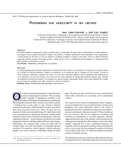 pentamerism and modularity in sea urchins