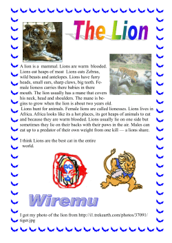 A lion is a mammal. Lions are warm blooded. Lions
