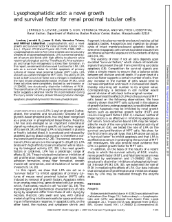 a novel growth and survival factor for renal proximal tubular cells