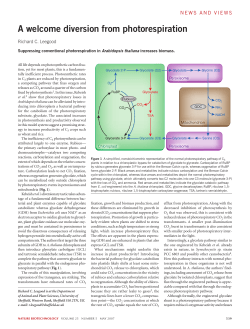 A welcome diversion from photorespiration - RWTH