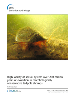 High lability of sexual system over 250 million years of evolution in