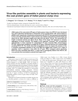 Virus-like particles assemble in plants and bacteria expressing the