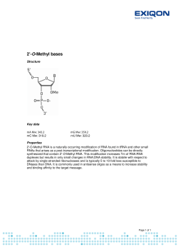 2`-O-Methyl bases