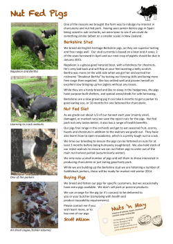 Nut Fed Pigs