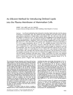 An Efficient Method for Introducing Defined Lipids into the Plasma