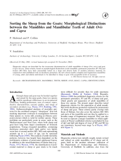 Sorting the Sheep from the Goats: Morphological Distinctions