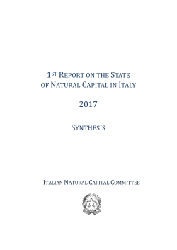 1st report on the state of natural capital in italy synthesis