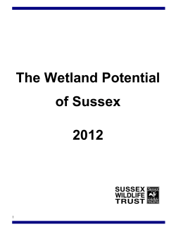 The State of Sussex Wetlands Report