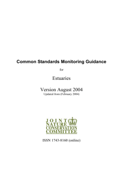 Common Standards Monitoring guidance for estuaries