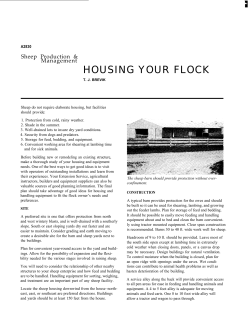 HOUSING YOUR FLOCK