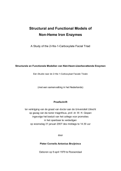 Structural and Functional Models of Non