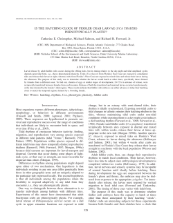 IS THE HATCHING CLOCK OF FIDDLER CRAB