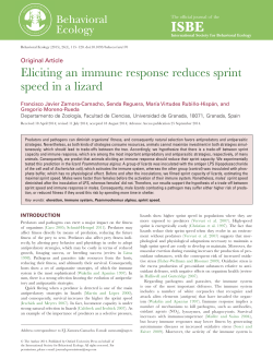 Eliciting an immune response reduces sprint speed in a lizard