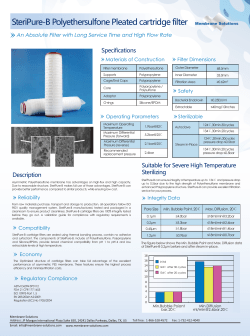 SteriPure-B Polyethersulfone Pleated cartridge filter