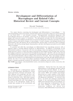 Development and Differentiation of Macrophages and Related Cells