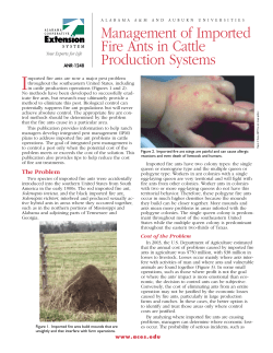 Management of Imported Fire Ants in Cattle Production Systems