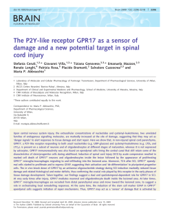 The P2Y-like receptor GPR17 as a sensor of damage and a