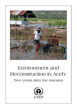 Environment and Reconstruction in Aceh