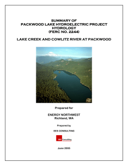 SUMMARY OF SUMMARY OF PACKWOOD LAKE HYDROE