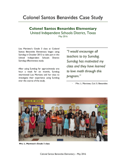 Colonel Santos Benavides Case Study