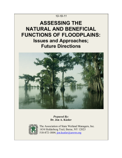 Assessing the Natural and Beneficial Functions of Floodplains