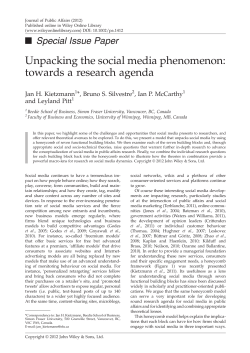 Unpacking the social media phenomenon: towards a