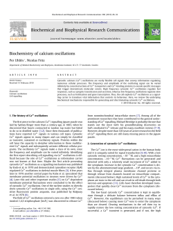 Biochemistry of calcium oscillations