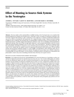 Essays Effect of Hunting in Source