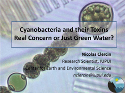 Cyanobacteria and their Toxins Real Concern or Just Green Water?