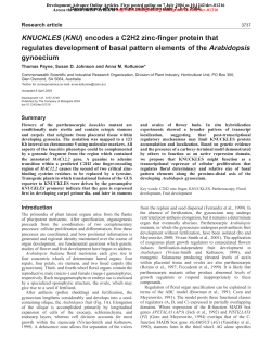 KNUCKLES (KNU) encodes a C2H2 zinc-finger