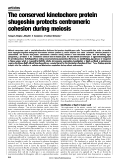 The conserved kinetochore protein shugoshin protects