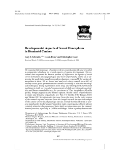 Developmental Aspects of Sexual Dimorphism in Hominoid
