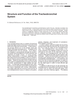 Structure and Function of the Tracheobronchial System