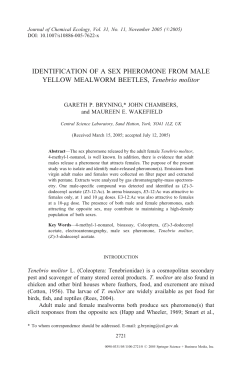 IDENTIFICATION OF A SEX PHEROMONE FROM MALE YELLOW
