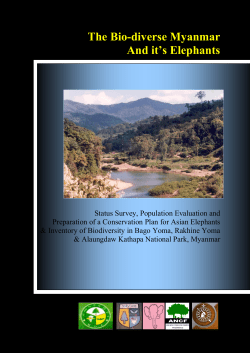 REPORT ON PEGU and ARAKAN YOMA SURVEY