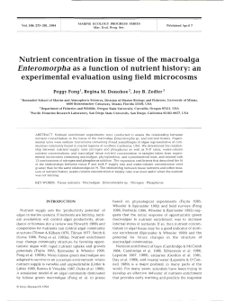 Full text in pdf format