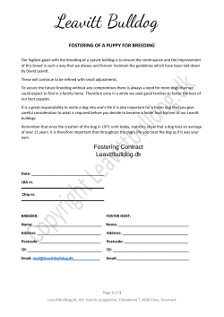 Leavitt puppy fostering contract