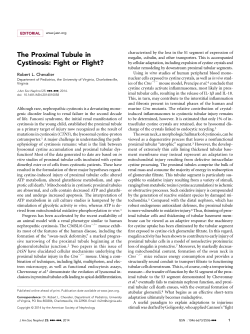 The Proximal Tubule in Cystinosis: Fight or Flight?