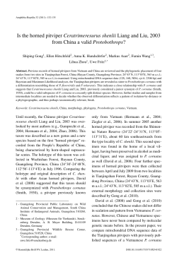 Is the horned pitviper Ceratrimeresurus shenlii Liang and Liu, 2003