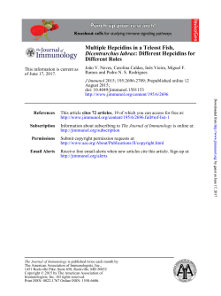 Multiple Hepcidins in a Teleost Fish, Dicentrarchus labrax: Different
