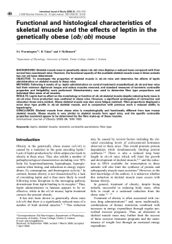 Functional and histological characteristics of skeletal muscle and the