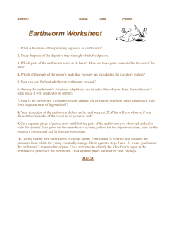 earthworm worksheet - Enders Science Page