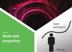 Scale and proportion