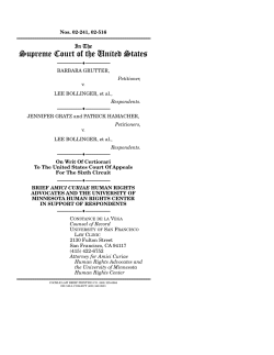 amicus curiae briefs - University of Minnesota Human Rights Library
