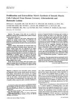 Proliferation and extracellular matrix synthesis of smooth