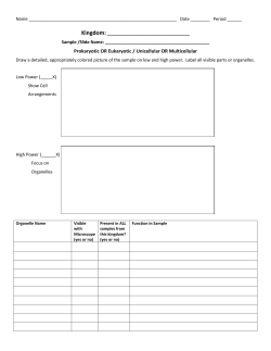 Prokaryotic OR Eukaryotic / Unicellular OR Multicellular