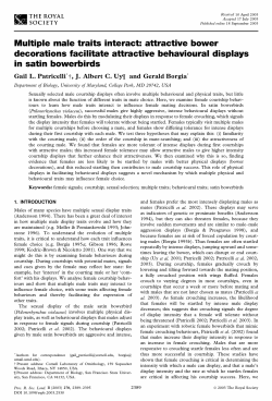 Multiple male traits interact: attractive bower decorations facilitate
